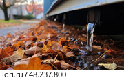 leaves metal gutter ai generated. Стоковое AI-изображение, AI-художник Vectorwin / Фотобанк Лори