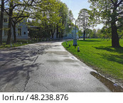 Безлюдная дорога среди деревьев и фонарей, мимо Оранжерейного и Кухонного корпусов утром в парке на Елагином острове в Санкт-Петербурге (2021 год). Стоковое фото, фотограф Елена Яворская / Фотобанк Лори