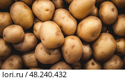 knobby potato texture ai generated. Стоковое AI-изображение, AI-художник Vectorwin / Фотобанк Лори