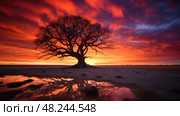 sunsilhouette tree live ai generated. Стоковое AI-изображение, AI-художник Vectorwin / Фотобанк Лори