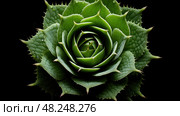 cordate leaf shapes ai generated. Стоковое AI-изображение, AI-художник Vectorwin / Фотобанк Лори