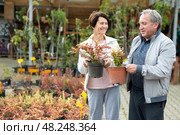 Elderly man and woman buying young barberry plants in a plant store. Стоковое фото, фотограф Татьяна Яцевич / Фотобанк Лори