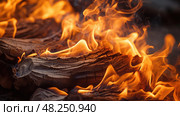 heat burning wood ai generated. Стоковое AI-изображение, AI-художник Vectorwin / Фотобанк Лори