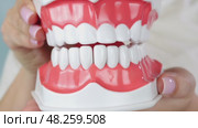 Artificial teeth model demonstration: jaw movement and denture details in three frames. Стоковое видео, видеограф Zakharova Natasha / Фотобанк Лори