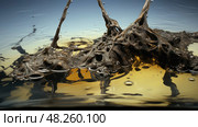 contamation oil in water ai generated. Стоковое AI-изображение, AI-художник Vectorwin / Фотобанк Лори