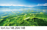 mats filamentous algae ai generated. Стоковое AI-изображение, AI-художник Vectorwin / Фотобанк Лори
