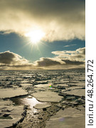 Sea ice in the Barents Sea near Franz Josef Land in summer. Стоковое фото, фотограф Vladimir / Фотобанк Лори