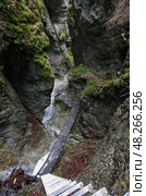 Экотропа через водопад (по Via Ferrata), национальный парк Словацкий рай,Словакия. Стоковое фото, фотограф Дымов Игорь / Фотобанк Лори