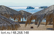 Umbrellas on beach at the luxury hotel, 4k. Стоковое видео, видеограф Михаил Коханчиков / Фотобанк Лори