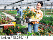 Portrait of asian positive woman in nightshade plants. Стоковое фото, фотограф Яков Филимонов / Фотобанк Лори