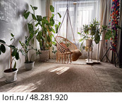 Cozy indoor space featuring a macrame hammock surrounded by lush greenery and natural light during the day. Стоковое фото, фотограф Кривошеина Елена Леонидовна / Фотобанк Лори