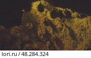 Bats hanging in cave. Стоковое видео, видеограф Михаил Коханчиков / Фотобанк Лори