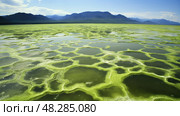 water algae bloom ai generated. Стоковое AI-изображение, AI-художник Vectorwin / Фотобанк Лори