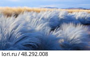 grass blue fescue ai generated. Стоковое AI-изображение, AI-художник Vectorwin / Фотобанк Лори