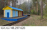 Узкоколейный паровоз Гр-318 тендером вперёд следует мимо площадки Солнечная, Свердловская ДЖД, ЦПКиО имени Маяковского, Екатеринбург. Редакционное видео, видеограф Алексей Иванов / Фотобанк Лори