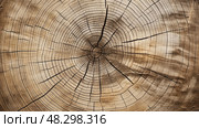 surfce rings of a tree. Стоковое AI-изображение, AI-художник Vectorwin / Фотобанк Лори