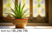 spiky aloe in pot. Стоковое AI-изображение, AI-художник Vectorwin / Фотобанк Лори
