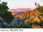 Caucasus Mountains in the rays of the setting sun. View from the Eagle Rocks. Стоковое фото, фотограф Ирина Мойсеева / Фотобанк Лори