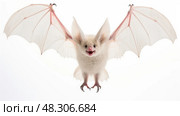 albino bat isolated on white. Стоковое AI-изображение, AI-художник Vectorwin / Фотобанк Лори