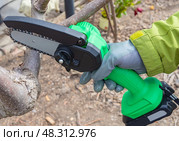 Ручная портативная электрическая пила на аккумуляторе для распиловки дров и древесины. Hand-held portable  electric saw on a battery for cutting firewood and wood. Close-up, a hand sawing a log. Стоковое фото, фотограф Татьяна Д / Фотобанк Лори