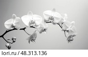 benefits black and white sesame seeds ai generated. Стоковое AI-изображение, AI-художник Vectorwin / Фотобанк Лори