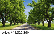 privacy osage orange ai generated. Стоковое AI-изображение, AI-художник Vectorwin / Фотобанк Лори