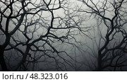 silhouette tree without leaves ai generated. Стоковое AI-изображение, AI-художник Vectorwin / Фотобанк Лори