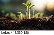 cotyledon plant anatomy ai generated. Стоковое AI-изображение, AI-художник Vectorwin / Фотобанк Лори