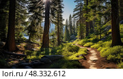 trail south lake tahoe trees ai generated. Стоковое AI-изображение, AI-художник Vectorwin / Фотобанк Лори