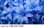 scilla blue spring flowers ai generated. Стоковое AI-изображение, AI-художник Vectorwin / Фотобанк Лори