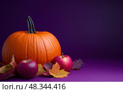 ?omposition with pumpkin, apples and colorful fall leaves on purple background, seasonal still life for Thanksgiving, Halloween, harvest celebration, seasonal sale or autumn greeting card design. Стоковое AI-изображение, AI-художник Евгений Демидюк / Фотобанк Лори