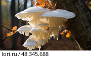 growth tree fungus ai generated. Стоковое AI-изображение, AI-художник Vectorwin / Фотобанк Лори