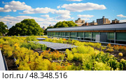 conservation green roofs ai generated. Стоковое AI-изображение, AI-художник Vectorwin / Фотобанк Лори