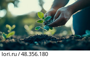 New life concept: Hands carefully planting a young sprout in fertile soil, a symbol of growth, nurture, and environmental stewardship. Стоковое AI-изображение, AI-художник Данила Большаков / Фотобанк Лори