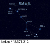 Ursa Major constellation, vector illustration with the names of basic stars against the starry sky. Стоковая иллюстрация, иллюстратор Елена Иванова / Фотобанк Лори