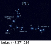 Pisces constellation, illustration with the names of basic stars against the starry sky. Стоковая иллюстрация, иллюстратор Елена Иванова / Фотобанк Лори