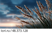 Grassy Marshland Swaying Gently in the Breeze at Sunset. Стоковое AI-изображение, AI-художник Юлия Гапеенко / Фотобанк Лори