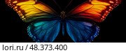 Monarch Metamorphosis: A spectrum of color on wings, an invitation for greeting card print. Стоковое AI-изображение, AI-художник Данила Большаков / Фотобанк Лори