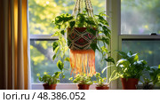 macrame bedroom plants ai generated. Стоковое AI-изображение, AI-художник Vectorwin / Фотобанк Лори