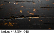 Closeup blackened timber wall with scorched wood texture, aged planks showing rough surface and natural wear, perfect for dramatic creative layout. Стоковое фото, фотограф Павел Муравьев / Фотобанк Лори