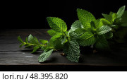 thyme herbs on black ai generated. Стоковое AI-изображение, AI-художник Vectorwin / Фотобанк Лори