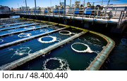bacteria wastewater treatment plant ai generated. Стоковое AI-изображение, AI-художник Vectorwin / Фотобанк Лори
