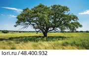 branches osage orange tree ai generated. Стоковое AI-изображение, AI-художник Vectorwin / Фотобанк Лори