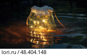 water luminary bag ai generated. Стоковое AI-изображение, AI-художник Vectorwin / Фотобанк Лори