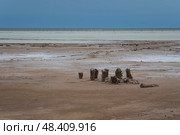 Sandy shores of the drying salt lake Baskunchak on a summer day, Nizhny Baskunchak, Akhtubinsky district, Astrakhan region, Russia. Стоковое фото, фотограф Ula Ulachka / Фотобанк Лори