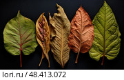 chlorophyll plant leaves ai generated. Стоковое AI-изображение, AI-художник Vectorwin / Фотобанк Лори