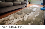 leak water damage carpet ai generated. Стоковое AI-изображение, AI-художник Vectorwin / Фотобанк Лори