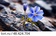 photograph flower blue ai generated. Стоковое AI-изображение, AI-художник Vectorwin / Фотобанк Лори