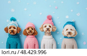 Winter Pups: A quartet of dogs dressed for snow, winter holiday print, card, poster. Стоковое AI-изображение, AI-художник Данила Большаков / Фотобанк Лори
