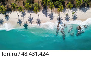 birdseye palm tree cliff ai generated. Стоковое AI-изображение, AI-художник Vectorwin / Фотобанк Лори